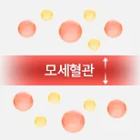 專屬脂肪分解解決方案